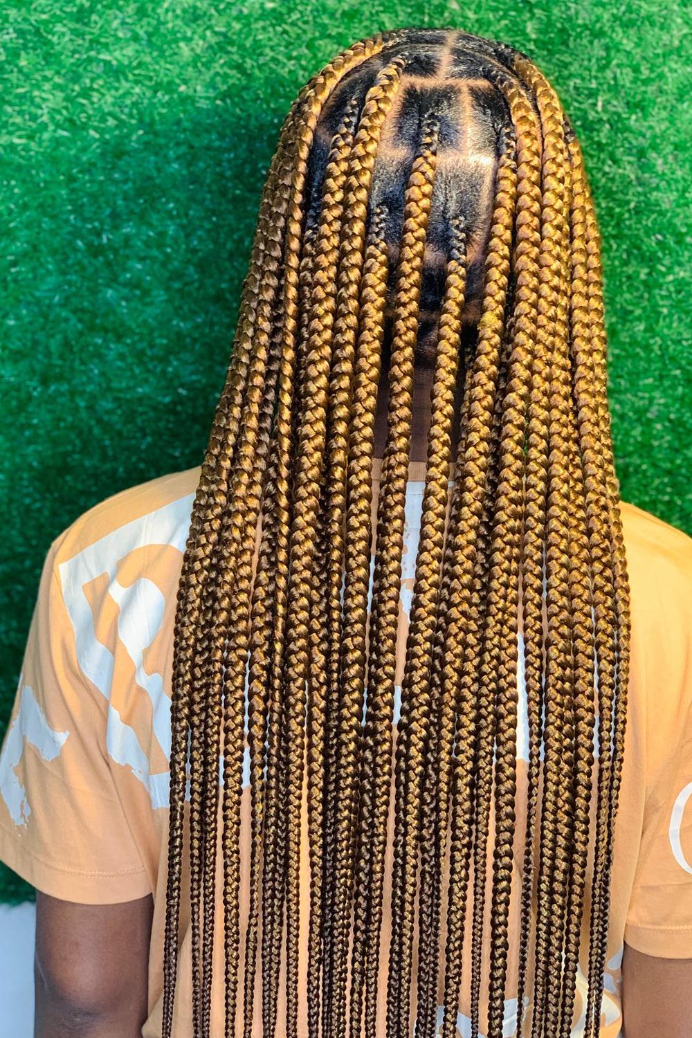 Box Braids Style #5