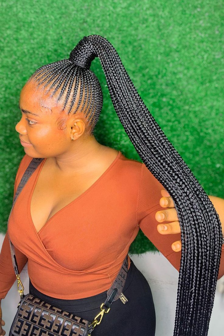 Braided Ponytail Style #1