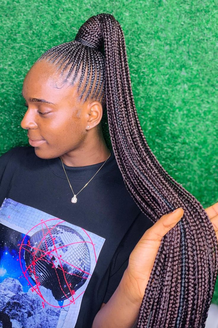 Braided Ponytail Style #2